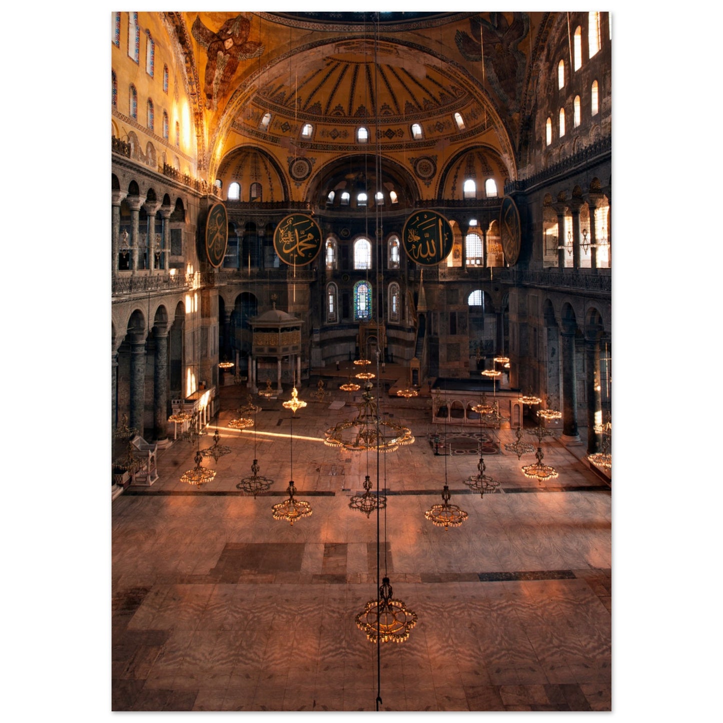 d1059f5a-32a9-4b20-96c3-d7fc70dd35a0