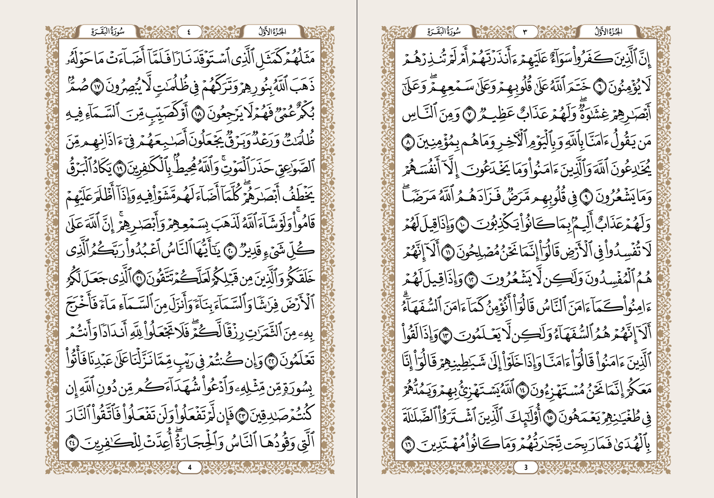 Quran (Arabic)