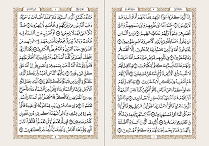 Quran (Arabic)