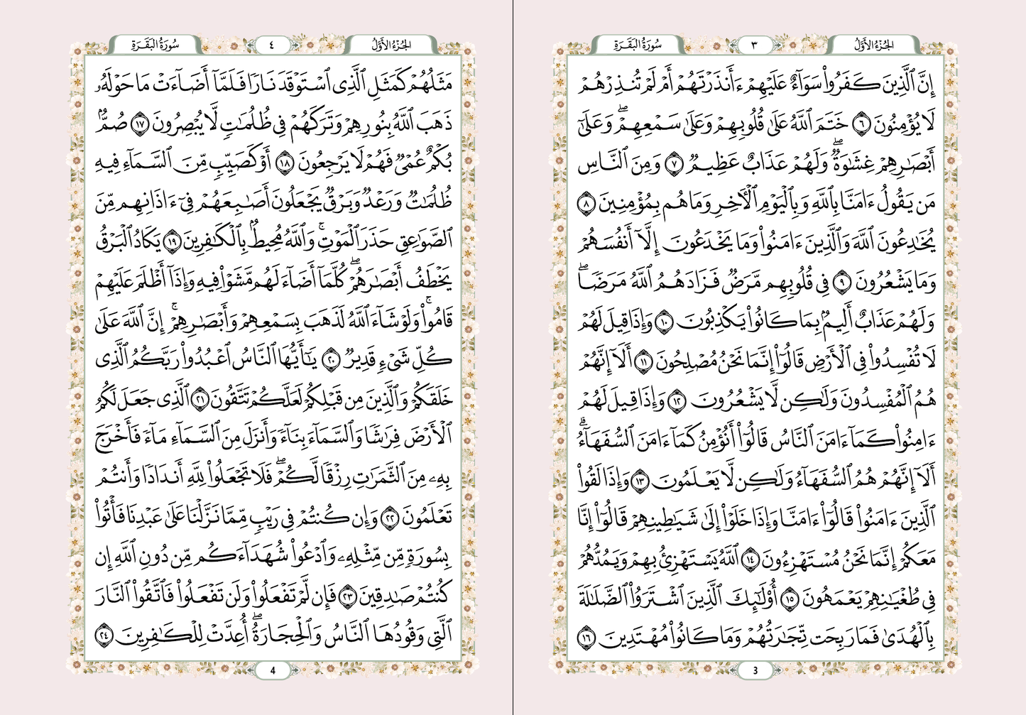 Quran (Arabic)