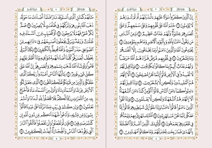 Quran (Arabic)